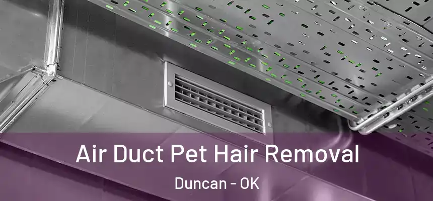  Air Duct Pet Hair Removal Duncan - OK