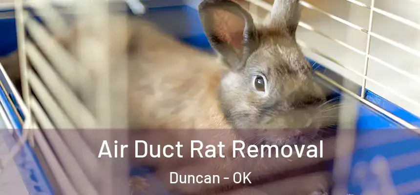  Air Duct Rat Removal Duncan - OK