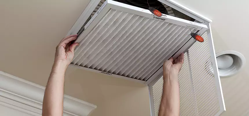 Preventive Cockroach-Proofing for Ducts in Duncan