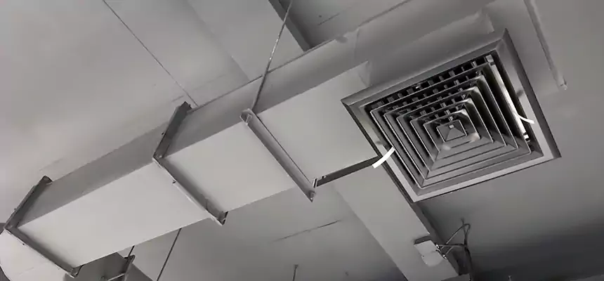 Our Pest Removal From Ducts Services in Duncan, OK