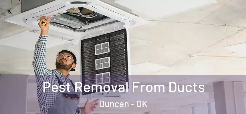  Pest Removal From Ducts Duncan - OK